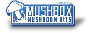 mushbox.co